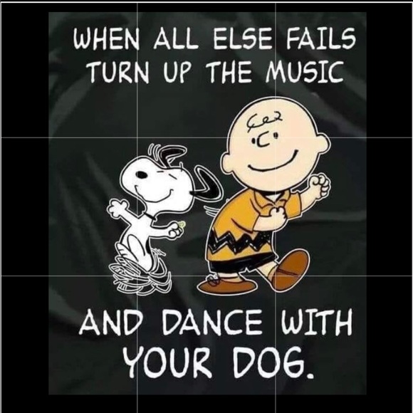 Meet your Posher, Holly - Picture 5 of 8